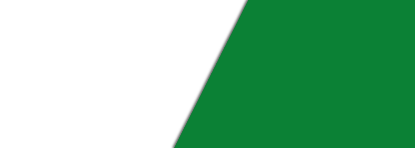 Must Love Paws is a Dog Day Care in Bend, OR 97702