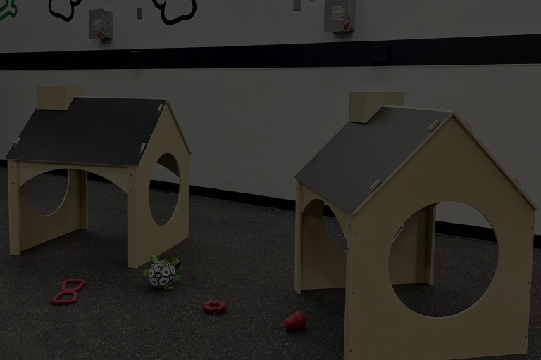 Must Love Paws is a Dog Day Care in Bend, OR 97702